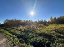 Верея, Луговая