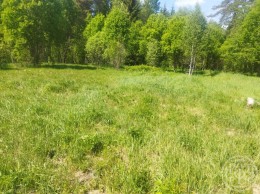 Ретюнь