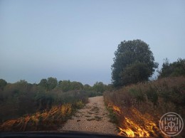 Петергоф, Гостилицкое