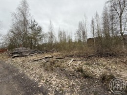 Первомайское, Моховая