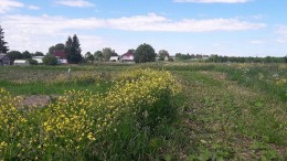 Прологи