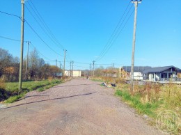 Борки