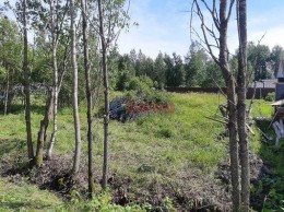 Родник(п.Красный Холм), к.нт