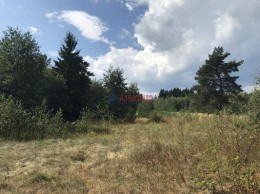 Соколинское