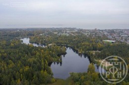 Пеники