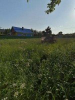 Малые Жеребцы, Дачная