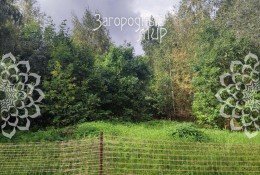 Истра, Ивановское
