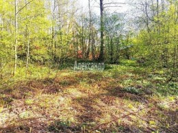 Сосново, Речная