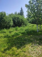 Верхние Осельки, Привокзальная