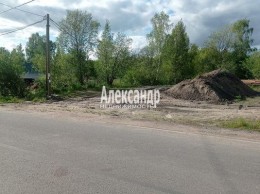 Ромашки п ДПК Жемчужина