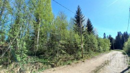 Саперное