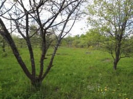 Луховицы, Машиностроитель, к.нт