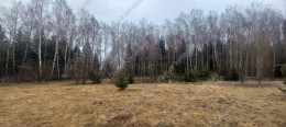 Можайск, Ратчино