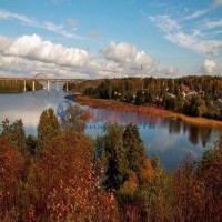 Дубки(п.Лужайка)