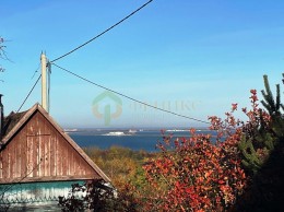 Пеники