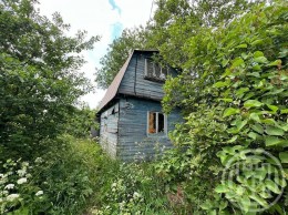 Петро-Славянка, Красноармейское, к.нт