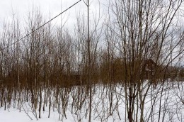 Ступино, Проскурниково, Орехово