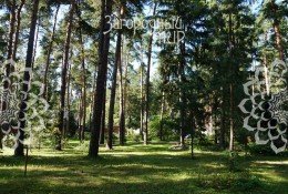 Малаховка, Быковское, 81