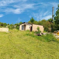 Учхоз, Астра, 32