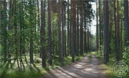 Рахья