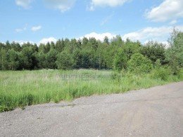 Павловский Посад, Носырево, Цветочная