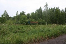 Лепсари