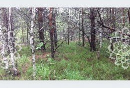 Орехово-Зуево, Мисцево