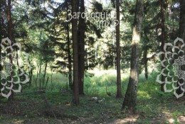 село Кленово