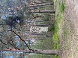 Приозерск, Садовая