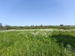 Порожки
