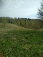 Островенка