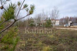 Ромашково