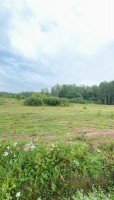 Чехов, Скурыгино
