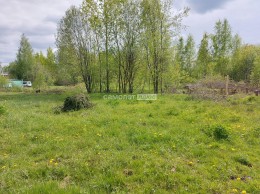 Павловский Посад, Алферово, Луговой