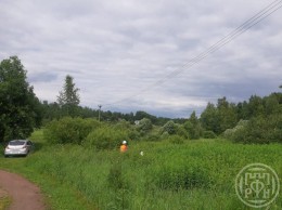 Боровое
