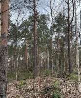 Всеволожск, Ломоносова