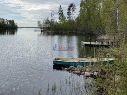Красное