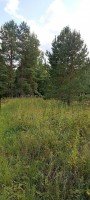 Максимовка