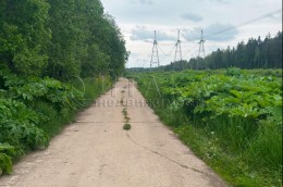 Новое Колено