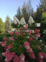 Электросталь, Южное, к.нт