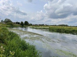Вайя, Полевая