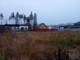 Массив Агалатово