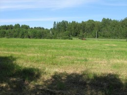Красносельское