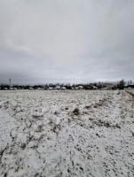 Рабитицы