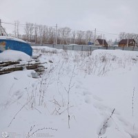 Домодедово, Никитское