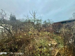 сдт Дружный-1 7-я