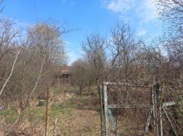 снт 55 лет Победы