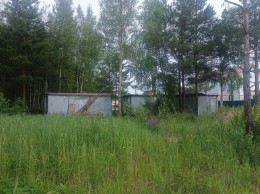 Росинка, к.нт