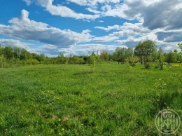Красное Село, Красногородская