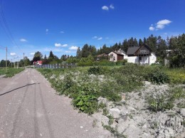 Хвойное
